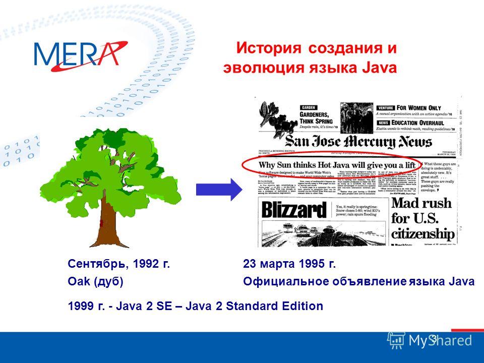 Что помогло языку Java «войти в каждый дом» - 4