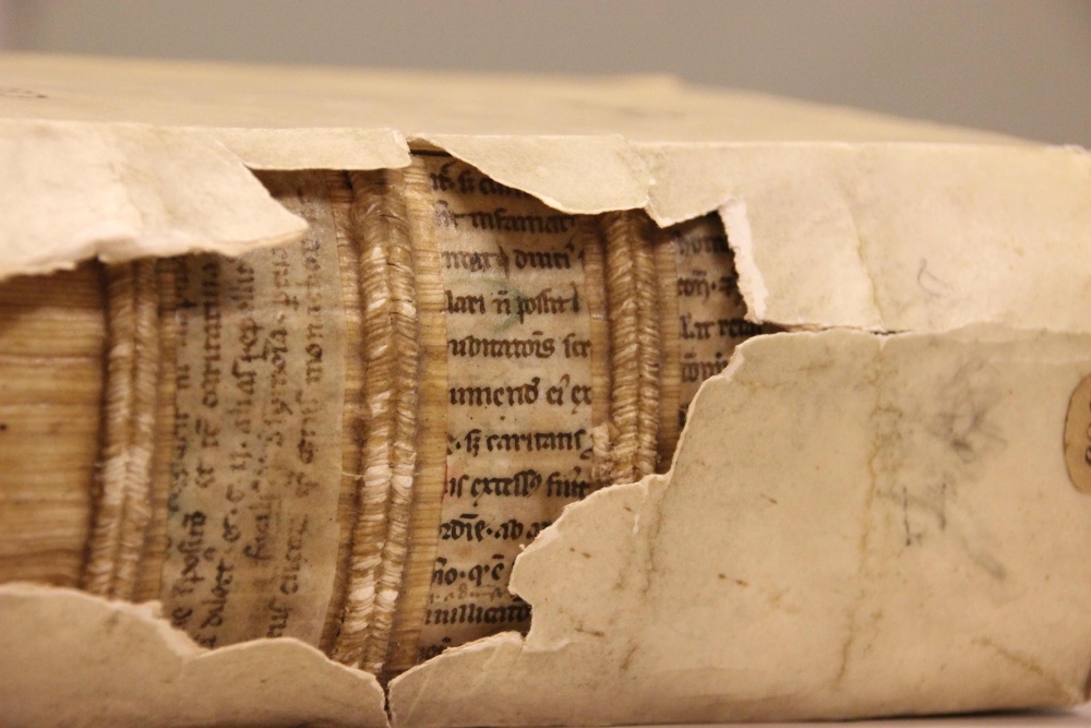 Рентгеновские лучи помогли найти спрятанную средневековую библиотеку - 1