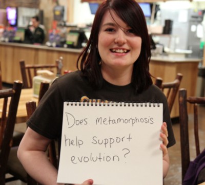 22 сообщения надежды (и науки) для креационистов - 25 22 сообщения надежды (и науки) для креационистов - 25