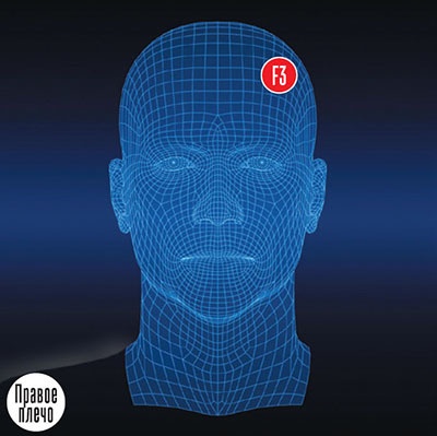 Биохакинг мозга: куда располагать электроды, чтобы стать умнее? - 13 Биохакинг мозга: куда располагать электроды, чтобы стать умнее? - 13