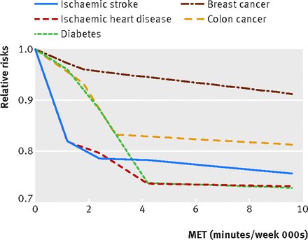 Исследование: уровень физической активности должен быть в пять-семь раз выше, чем сейчас рекомендует ВОЗ - 2 image