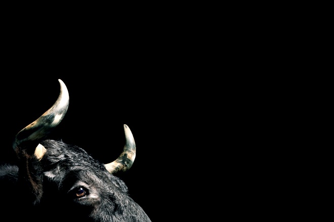 Свирепые быки: как на Уолл-Стрит подсели на торги со скоростью света - 3