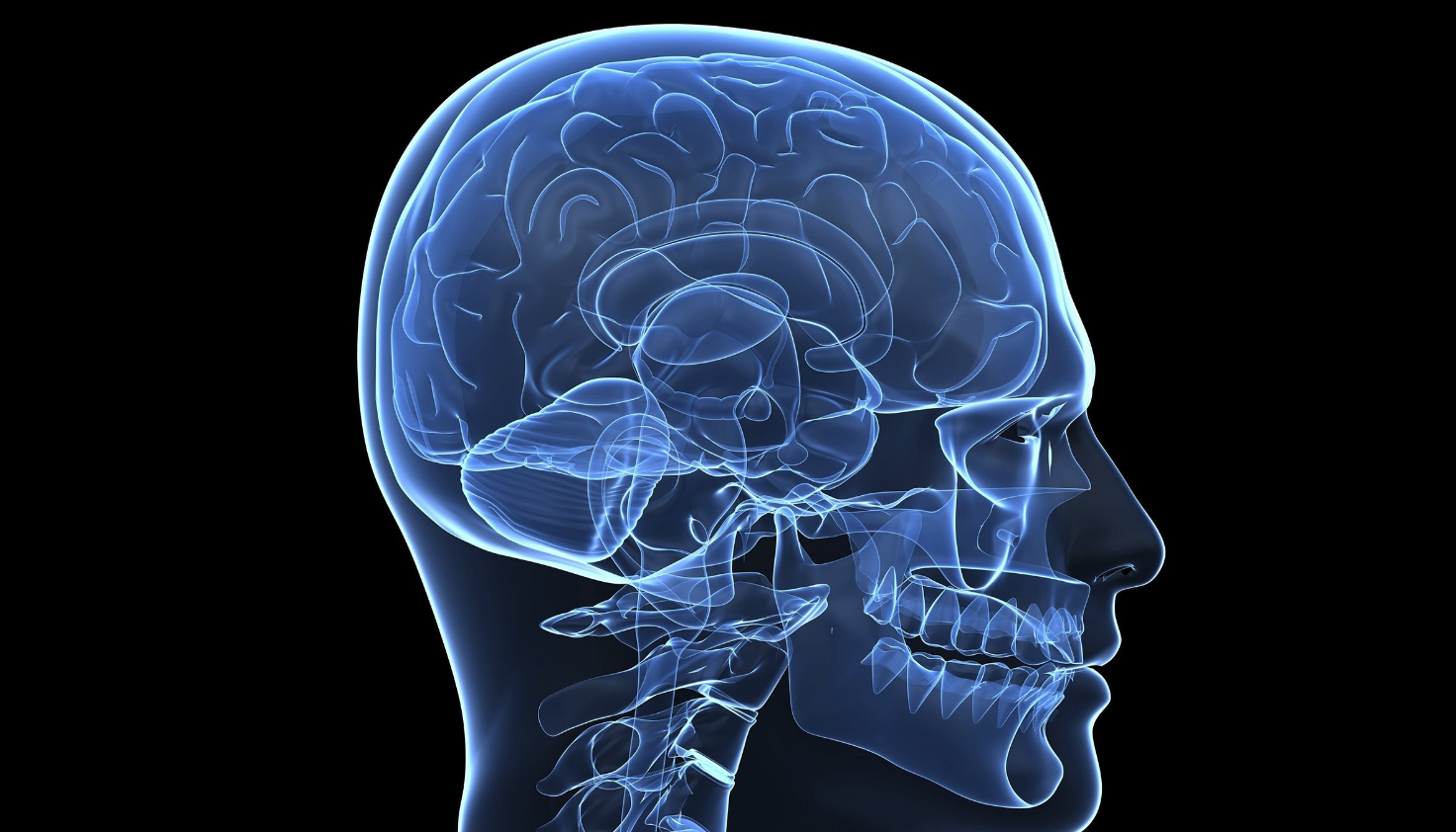 Стартап KerNEL пытается создать коммерческие мозговые импланты для улучшения памяти - 1