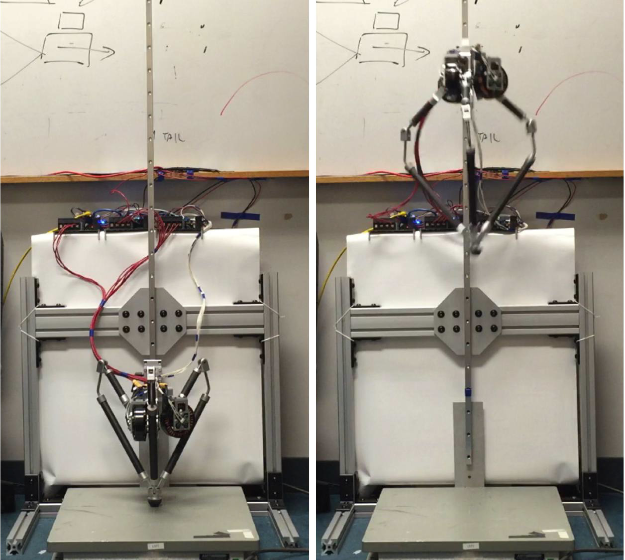 Студент сделал механическую ногу, которая прыгает в два раза выше своей высоты - 12 Студент сделал механическую ногу, которая прыгает в два раза выше своей высоты - 12