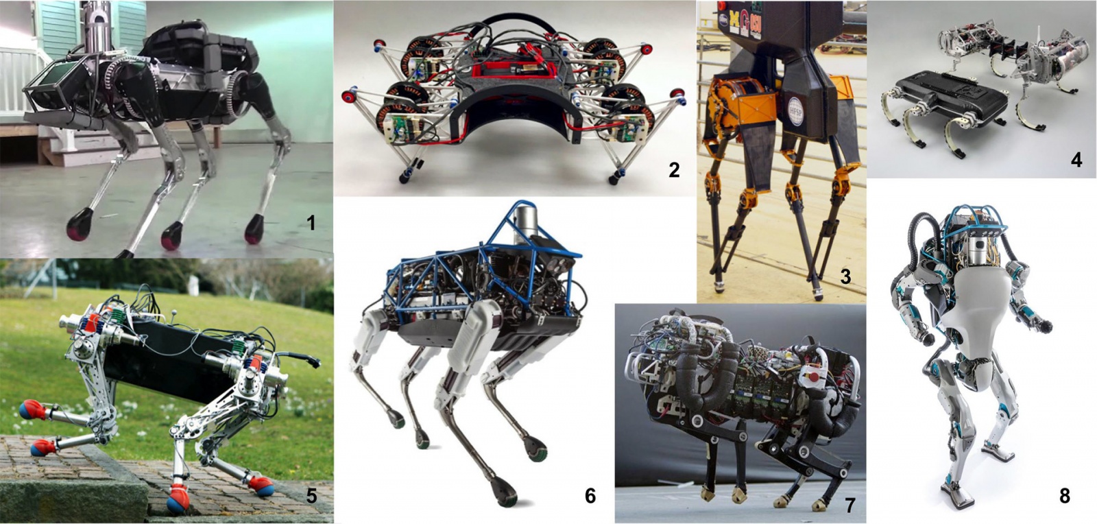 Студент сделал механическую ногу, которая прыгает в два раза выше своей высоты - 1 Студент сделал механическую ногу, которая прыгает в два раза выше своей высоты - 1