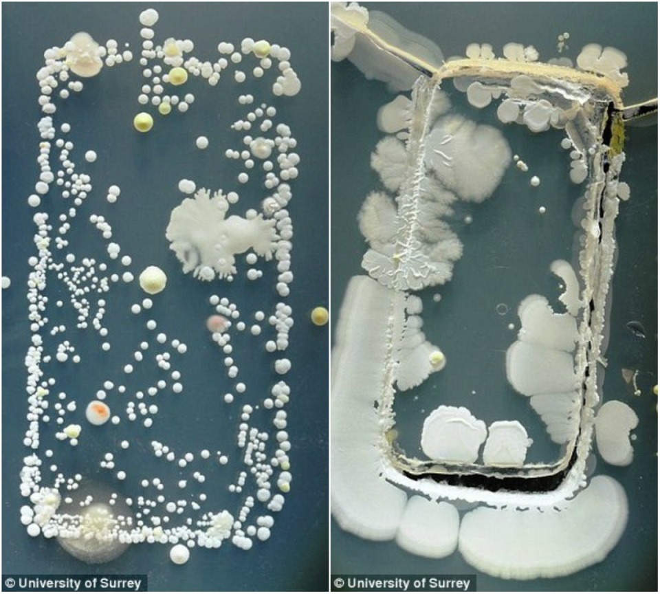 Профессии медицины будущего - 2 Профессии медицины будущего - 2