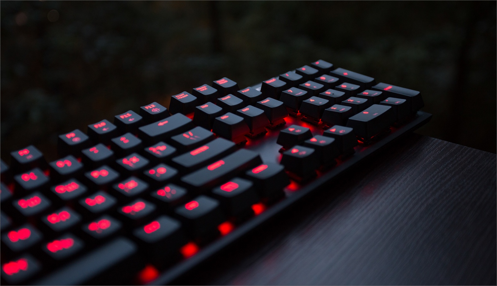 HyperX Alloy FPS — надёжность превыше всего - 2 HyperX Alloy FPS — надёжность превыше всего - 2
