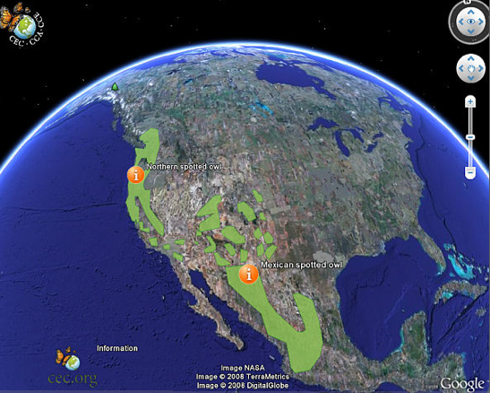 От создателей Pokémon Go: что делала Niantic перед тем, как захватить мир - 3