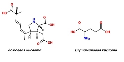 Фармакологическая модуляция памяти. Часть 1 - 4