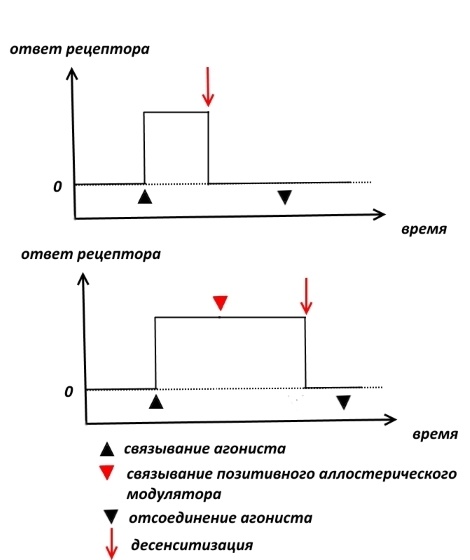 Фармакологическая модуляция памяти. Часть 1 - 6