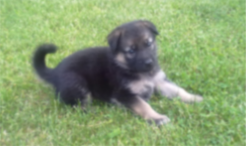 Использование графических эффектов в приложениях UWP с помощью Win2D - 4 Использование графических эффектов в приложениях UWP с помощью Win2D - 4