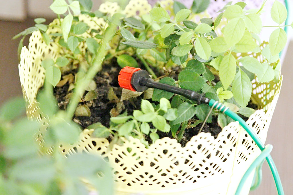 Автоматическая лейка для растений - 21 Автоматическая лейка для растений - 21