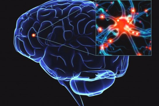 Ученые заявили, что стресс разрушает мозг Ученые заявили, что стресс разрушает мозг