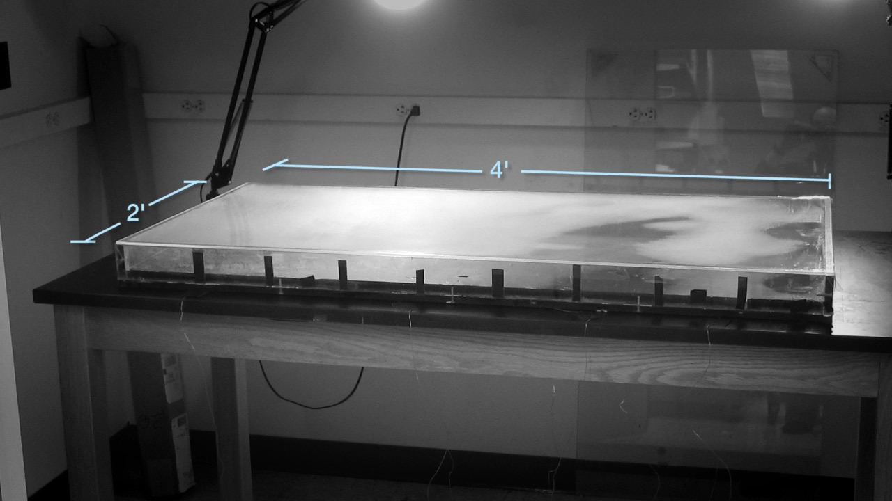 Экспансия фронта бактерий по арене с антибиотиками: зрелищный эксперимент Гарвардской медицинской школы - 2 Экспансия фронта бактерий по арене с антибиотиками: зрелищный эксперимент Гарвардской медицинской школы - 2