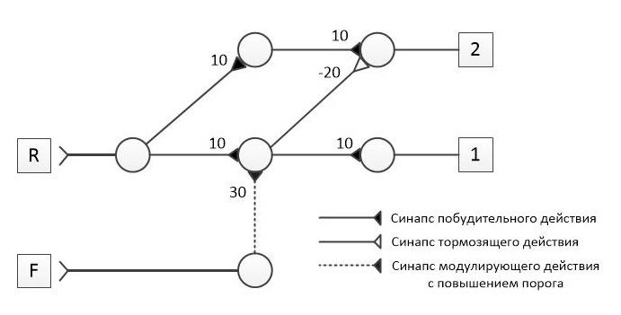 Симулятор нервной системы. Часть 2. Модулируемый нейроэлемент - 13