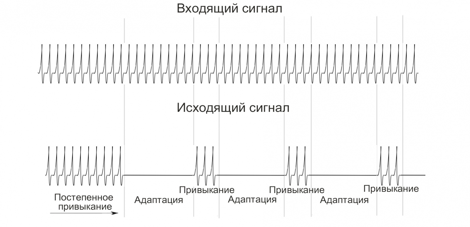 Симулятор нервной системы. Часть 2. Модулируемый нейроэлемент - 7