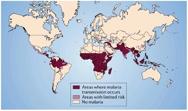 Малярия: конец истории? - 1