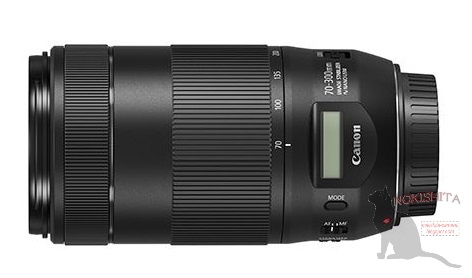 Анонс объектива Canon EF 70-300mm IS II USM ожидается 15 сентября