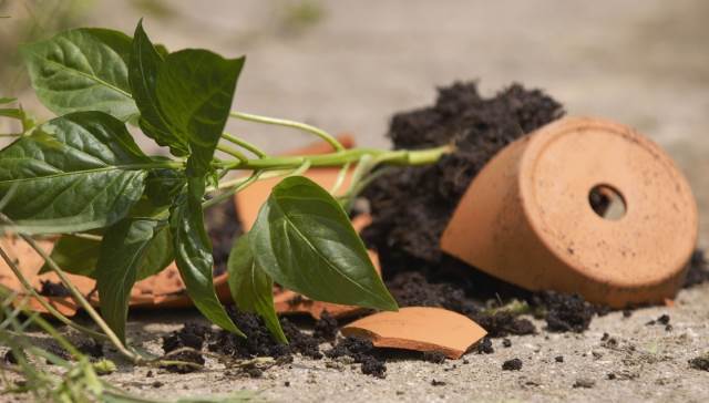 Однажды программисты погубят этот мир - 1 Однажды программисты погубят этот мир - 1
