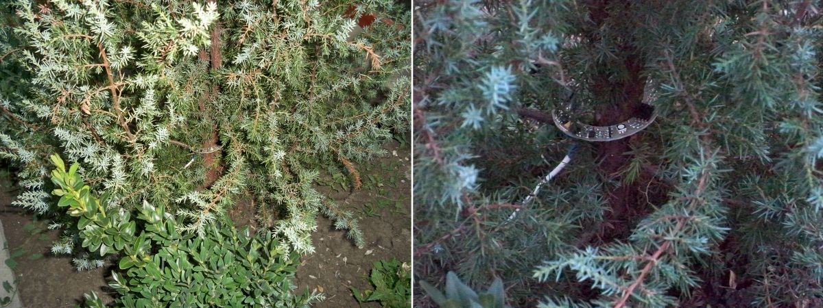 Очередной умный дом, в нескольких частях. Декоративное освещение - 10 image