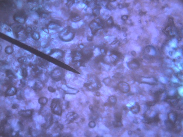 Спросите Итана №93: случайное Ньютоново яблоко - 2 Спросите Итана №93: случайное Ньютоново яблоко - 2