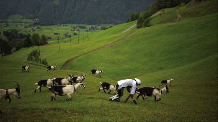 Лауреаты Шнобелевской премии 2016 - 4 Лауреаты Шнобелевской премии 2016 - 4