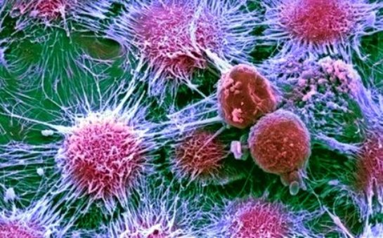Специально разработанные чипы будут искать раковые клетки