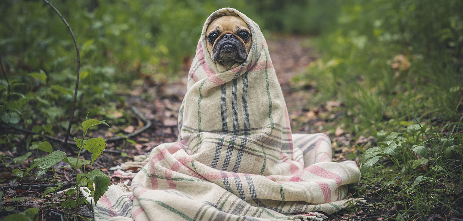 Как переписать SDK на TypeScript, обновить платформу и ни о чем не жалеть - 7 Как переписать SDK на TypeScript, обновить платформу и ни о чем не жалеть - 7