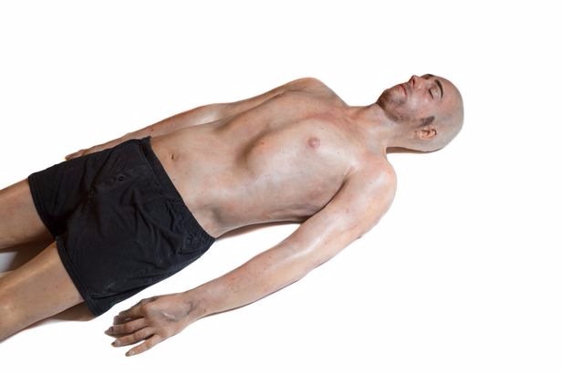 Учёные создали 3D-печатного человека с максимально реалистичными внутренними органами - 2 image