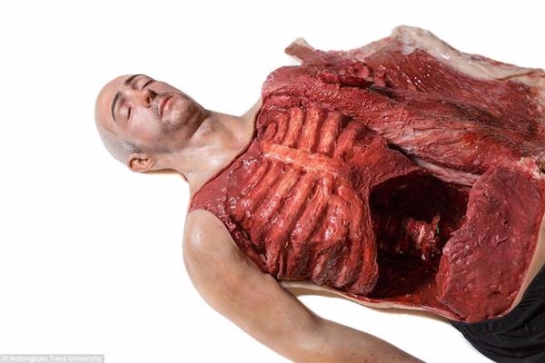 Учёные создали 3D-печатного человека с максимально реалистичными внутренними органами - 5 image