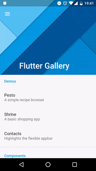 Flutter I — Введение и установка - 3 Пример галереи Flutter