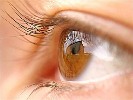 Стало известно, почему возникает глаукома