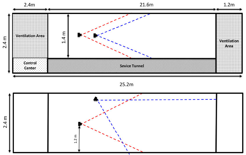 В любой сложной ситуации лети вправо. Почему птицы не сталкиваются в полёте - 2 В любой сложной ситуации лети вправо. Почему птицы не сталкиваются в полёте - 2