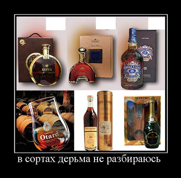 Теории заговора. Алкогольное лобби - 9 Теории заговора. Алкогольное лобби - 9