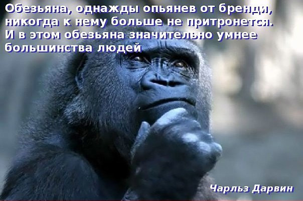 Теории заговора. Алкогольное лобби - 1 Теории заговора. Алкогольное лобби - 1