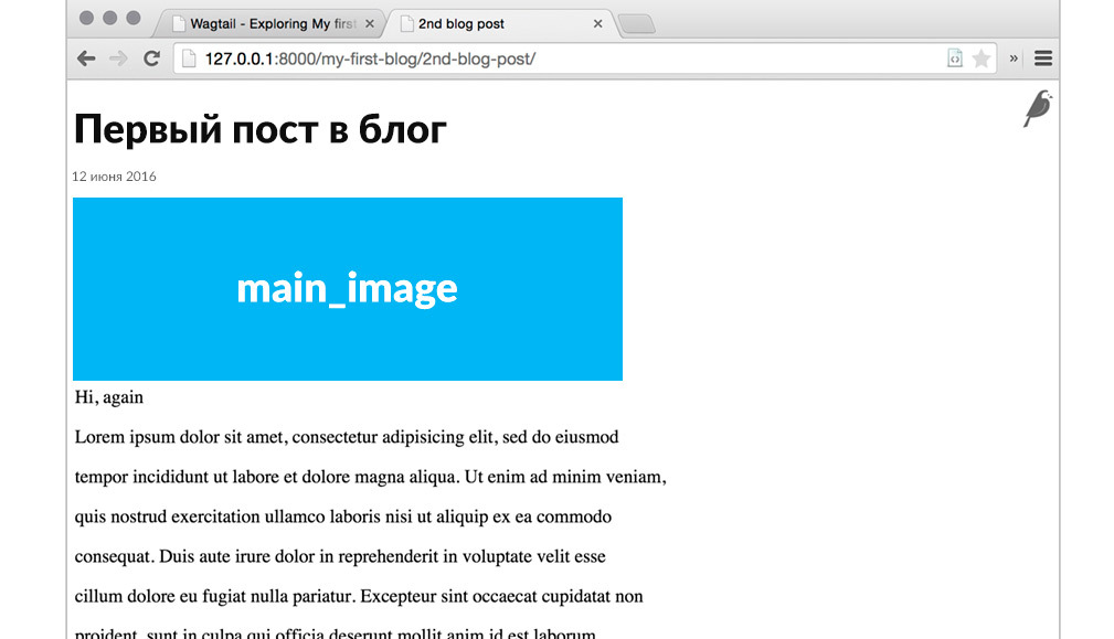 Запускаем простой блог на Wagtail CMS (Django) — часть 2 - 3 Запускаем простой блог на Wagtail CMS (Django) — часть 2 - 3