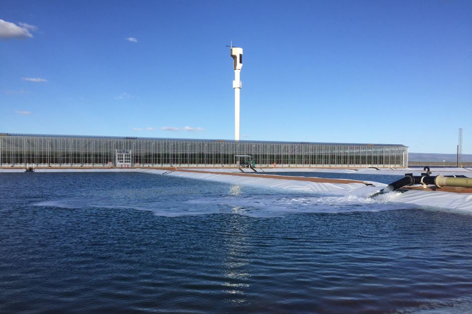 Первая в мире гидропонная солнечная ферма: морская вода + солнечный свет=помидоры - 4 Первая в мире гидропонная солнечная ферма: морская вода + солнечный свет=помидоры - 4