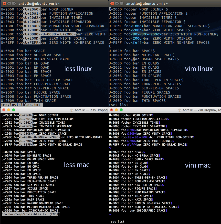 invisibles in terminal