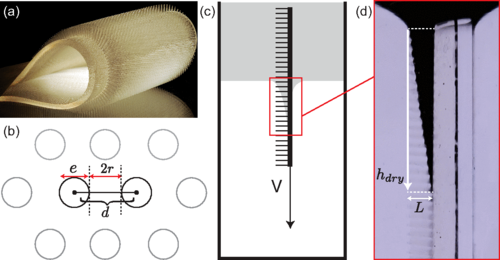 Мех бобра как образец гидрокостюма - 4 Мех бобра как образец гидрокостюма - 4
