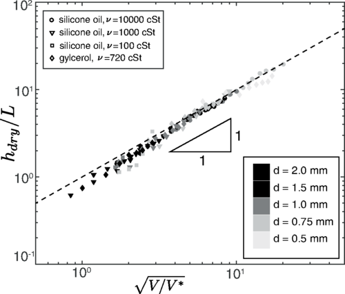 Мех бобра как образец гидрокостюма - 5 Мех бобра как образец гидрокостюма - 5