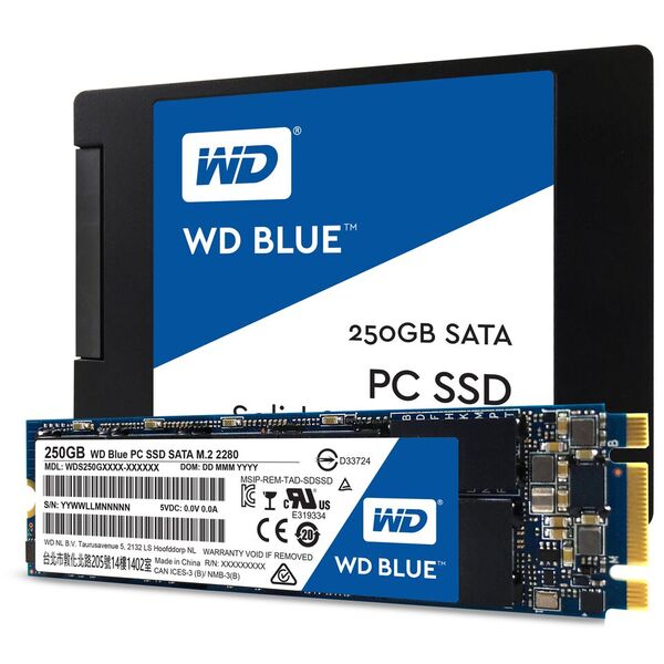 Представлены твердотельные накопители WD Blue и WD Green