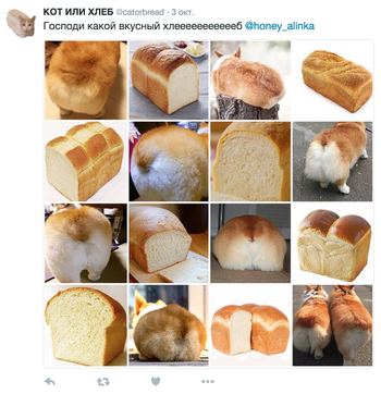 Обучаем нейросеть играючи - 25 Обучаем нейросеть играючи - 25