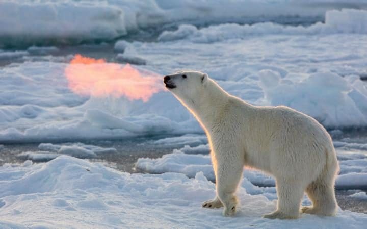 Эксперты предсказывали исчезновение арктического льда к сентябрю 2016 — и ошиблись - 1
