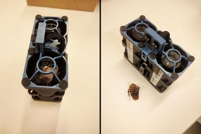 День из жизни новоприбывшего сервера: как мы проверяем и восстанавливаем железо - 4 image alt text