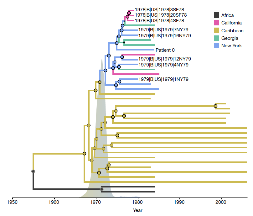 Нулевой пациент ВИЧ, вероятно, прилетел в Нью-Йорк с Гаити в 1971 году - 2 Нулевой пациент ВИЧ, вероятно, прилетел в Нью-Йорк с Гаити в 1971 году - 2