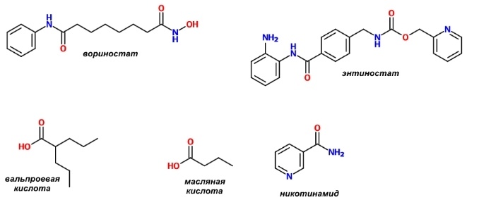 Фармакологическая модуляция памяти. Часть 2 - 10