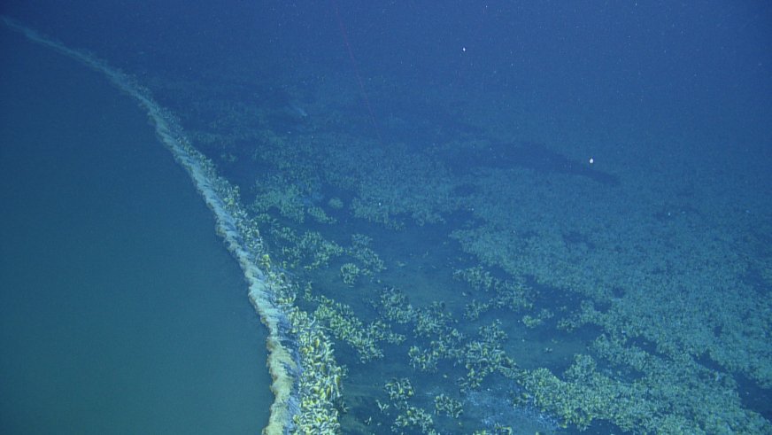 На дне Мексиканского залива нашли ядовитое озеро - 5