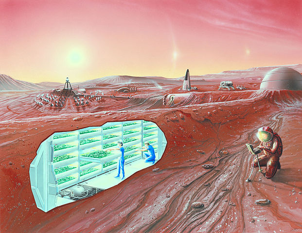 Космические жилища, ч. 3: как мы будем жить на Марсе - 8