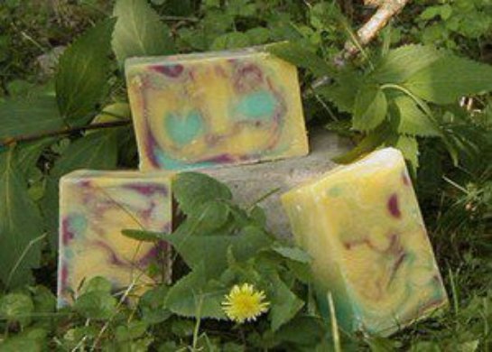 Ученые создали новый вид экологического мыла Ученые создали новый вид экологического мыла