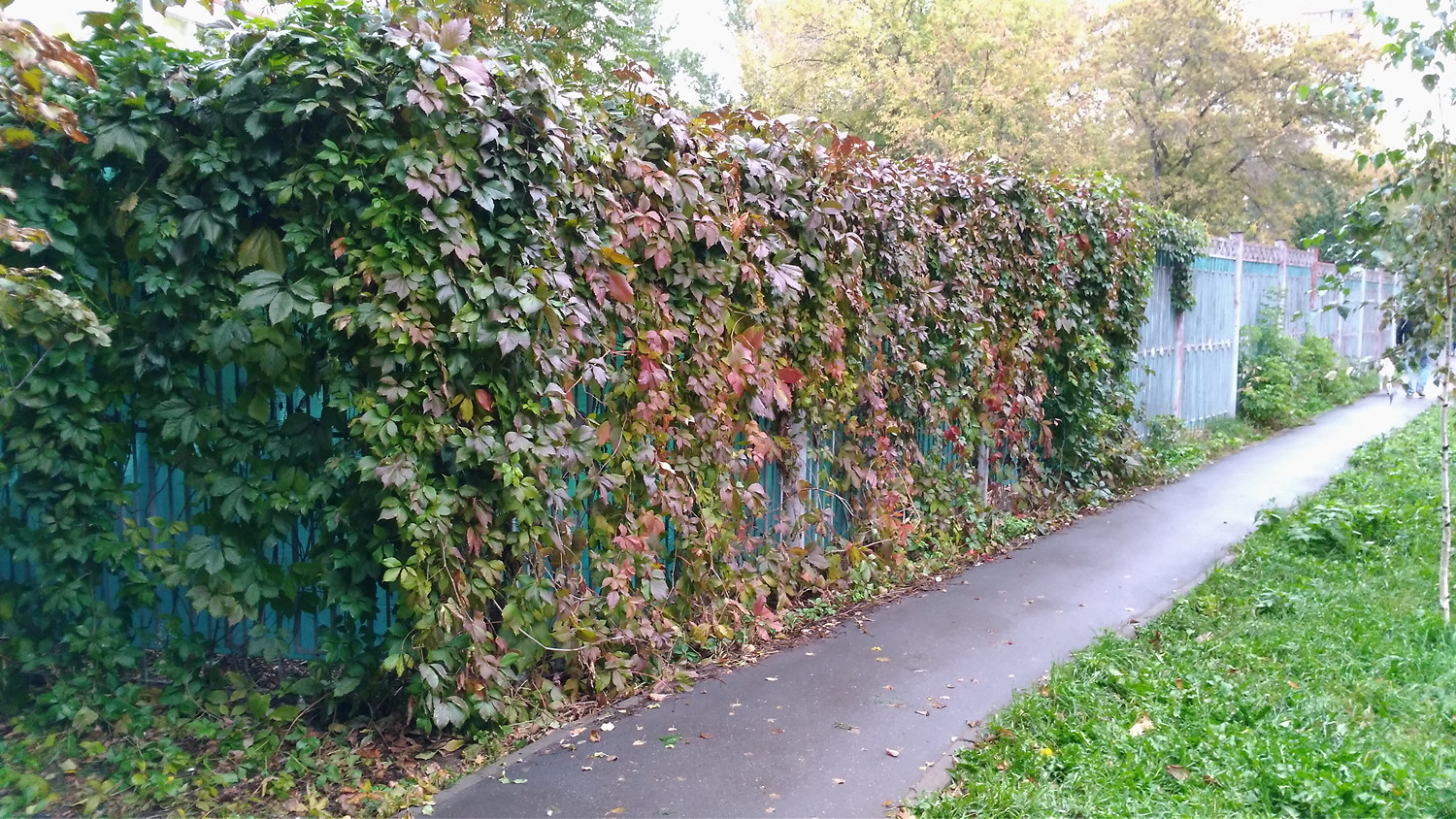 Обзор смартфона ASUS ZenFone 3 Laser - 27 Обзор смартфона ASUS ZenFone 3 Laser - 27